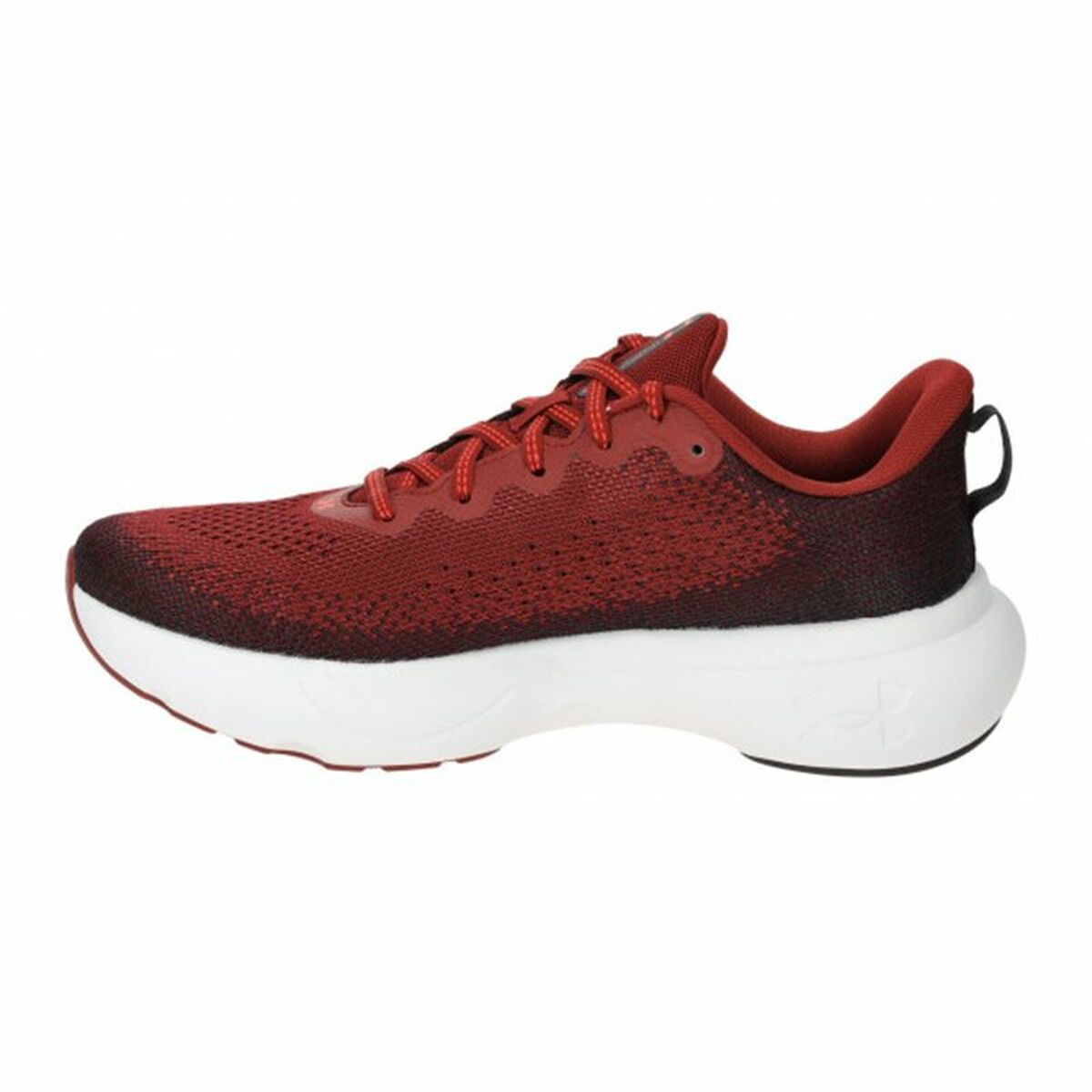 Zapatillas de Running para Adultos Under Armour Infinite Marrón