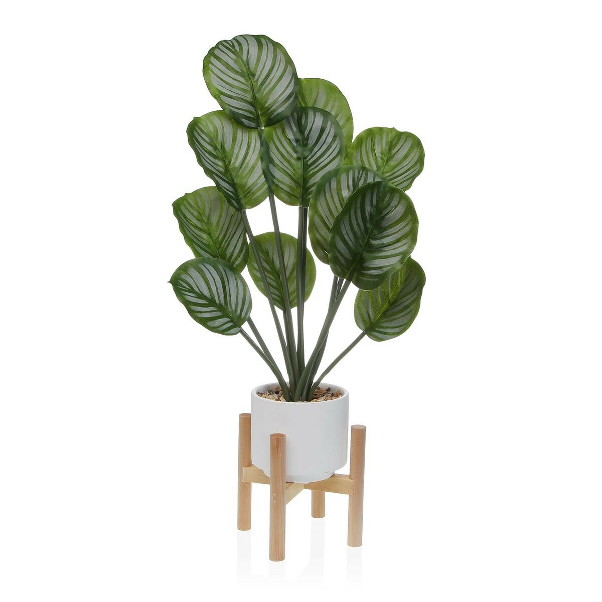 Planta Decorativa Versa