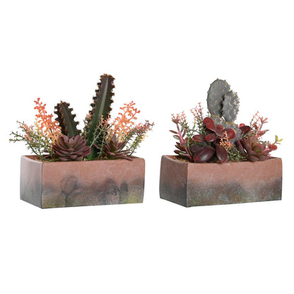 DKD Home Decor Decorative Plant 19 x 9 x 22 cm Pink Orange Cactus Foam Polypropylene (2 Units)