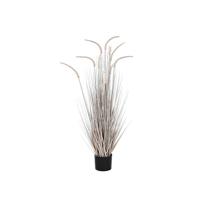 Planta Decorativa DKD Home Decor Gris claro (Reacondicionado B)