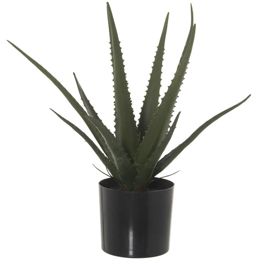 Planta Decorativa Alexandra House Living Plástico Aloe Vera 11 x 11 x 39 cm