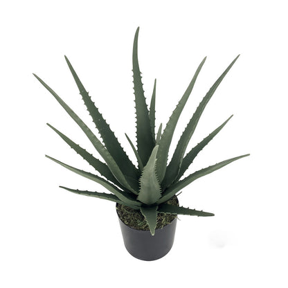 Planta Decorativa Alexandra House Living Plástico Aloe Vera 11 x 11 x 39 cm