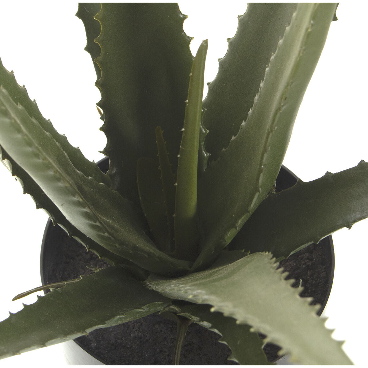 Planta Decorativa Alexandra House Living Plástico Aloe Vera 11 x 11 x 39 cm