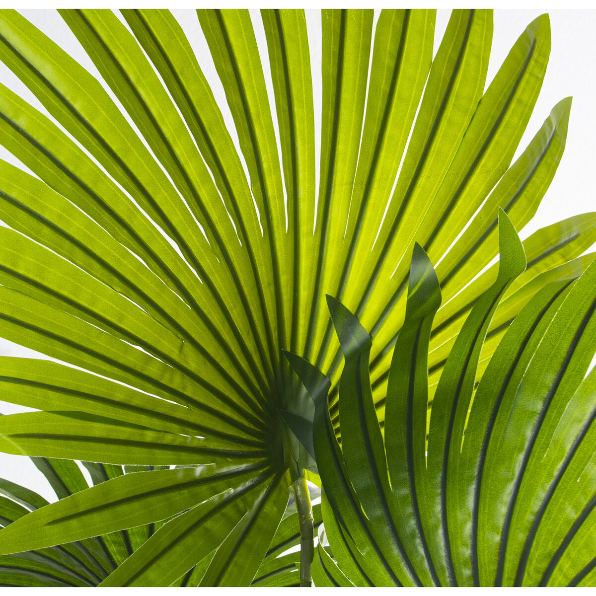 Decorative Plant Alexandra House Living Plastic Palm Tree 180 cm