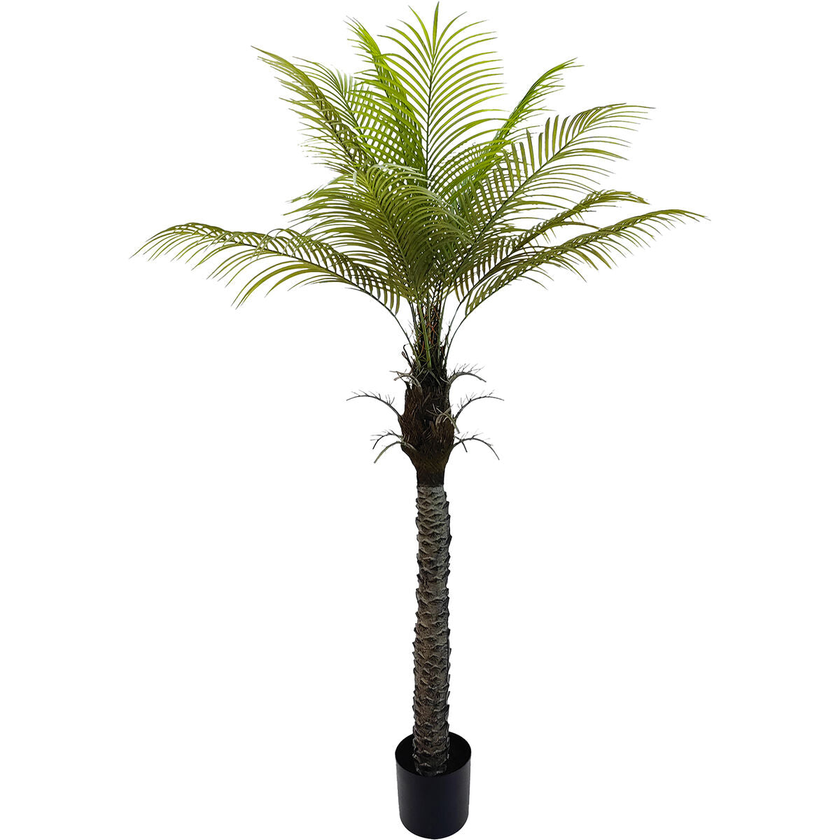 Planta Decorativa Alexandra House Living Plástico Palmera 180 cm