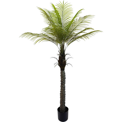 Planta Decorativa Alexandra House Living Plástico Palmera 180 cm