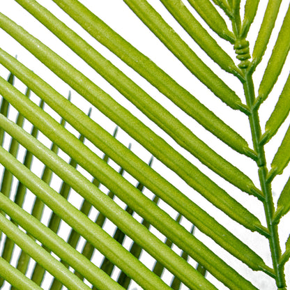 Planta Decorativa Alexandra House Living Plástico Palmera 180 cm