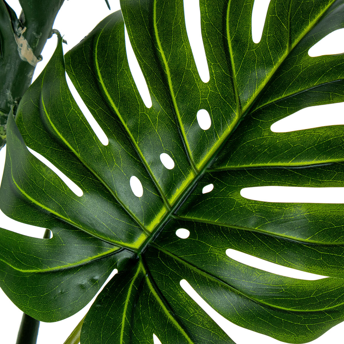 Planta Decorativa Alexandra House Living Plástico Monstera 170 cm