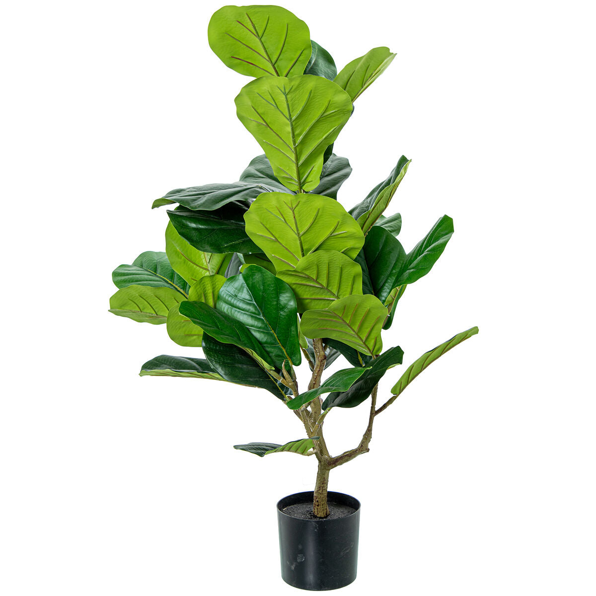 Planta Decorativa Alexandra House Living Plástico Ficus 90 cm