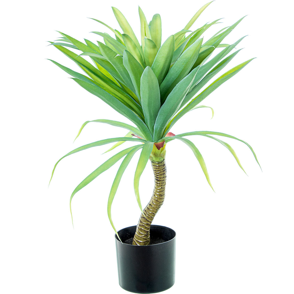 Planta Decorativa Alexandra House Living Plástico Yuca 70 cm