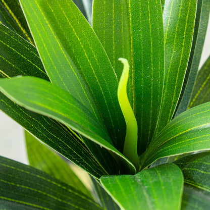 Planta Decorativa Alexandra House Living Lilium Plástico 35 cm