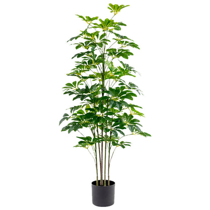 Planta Decorativa Alexandra House Living Plástico Schefflera 125 cm