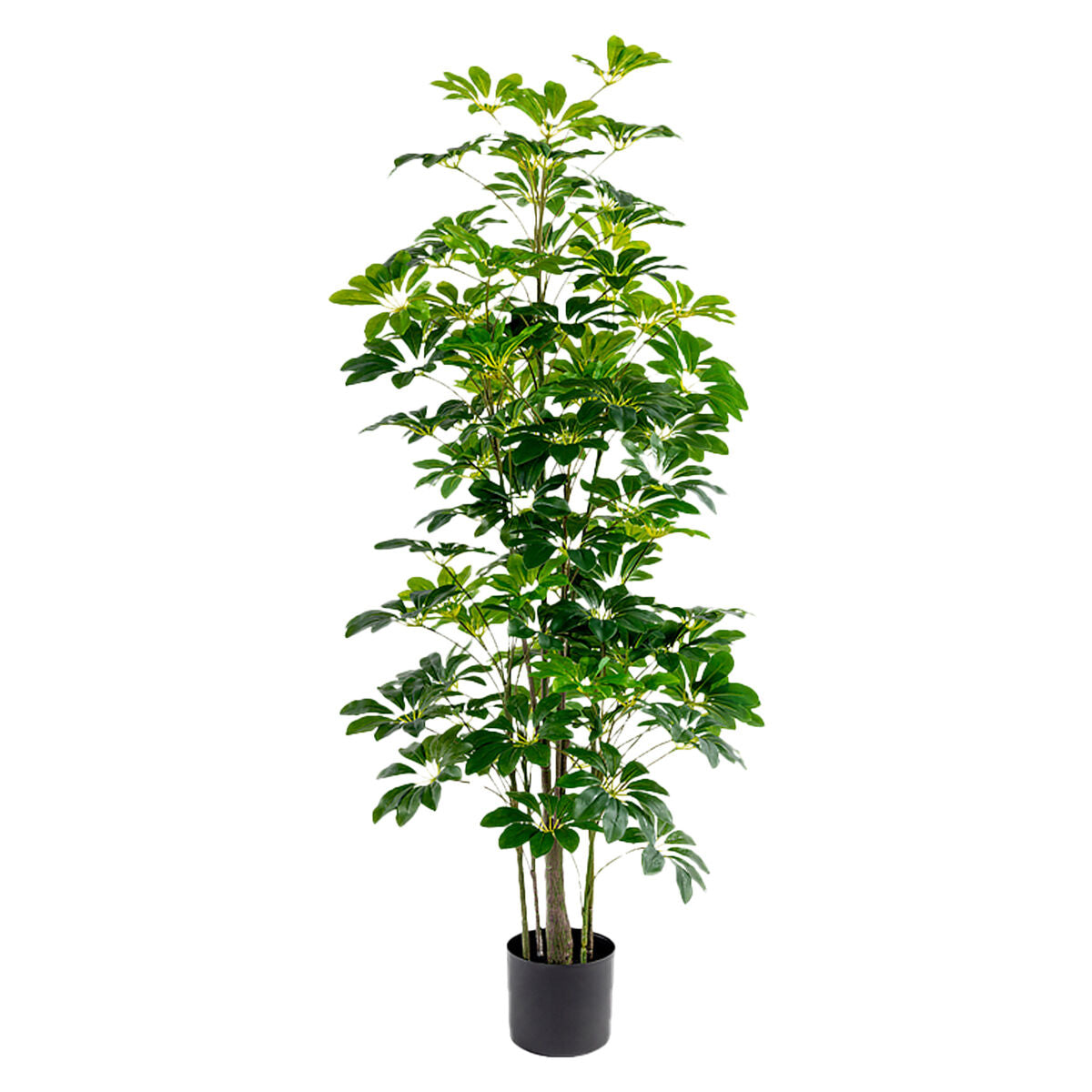 Planta Decorativa Alexandra House Living Plástico Schefflera 155 cm