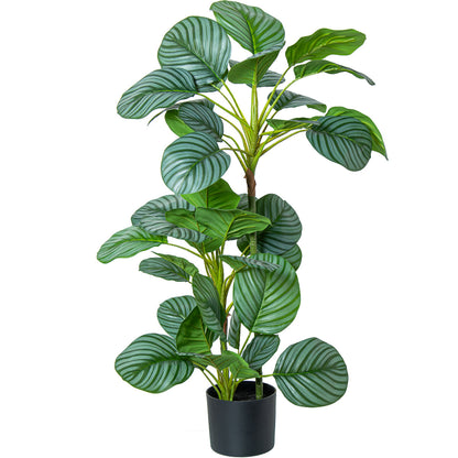 Planta Decorativa Alexandra House Living Plástico Calathea 90 cm