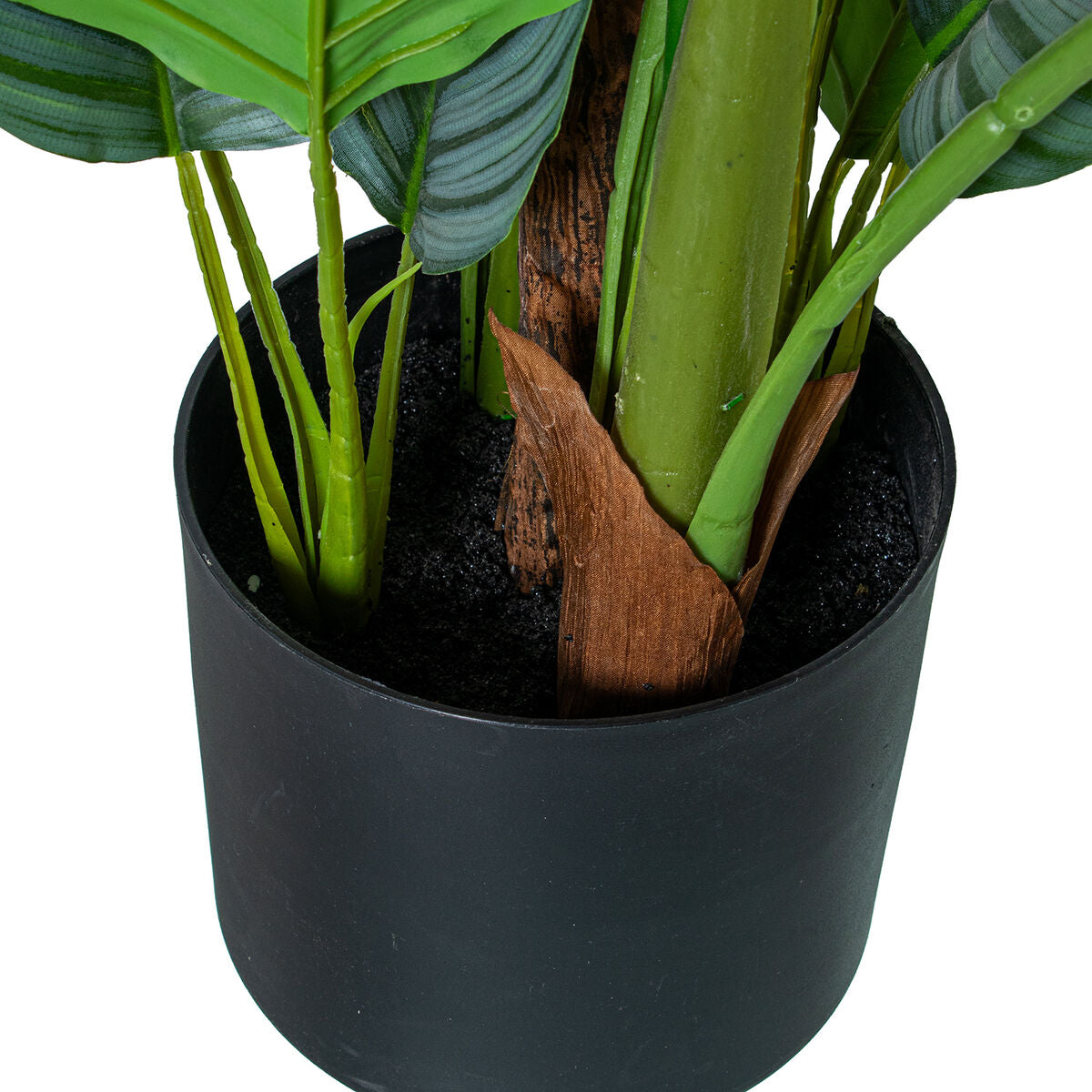 Planta Decorativa Alexandra House Living Plástico Calathea 150 cm