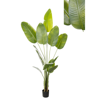 Romimex Strelitzia Decorative Plant Plastic 110 x 210 x 70 cm