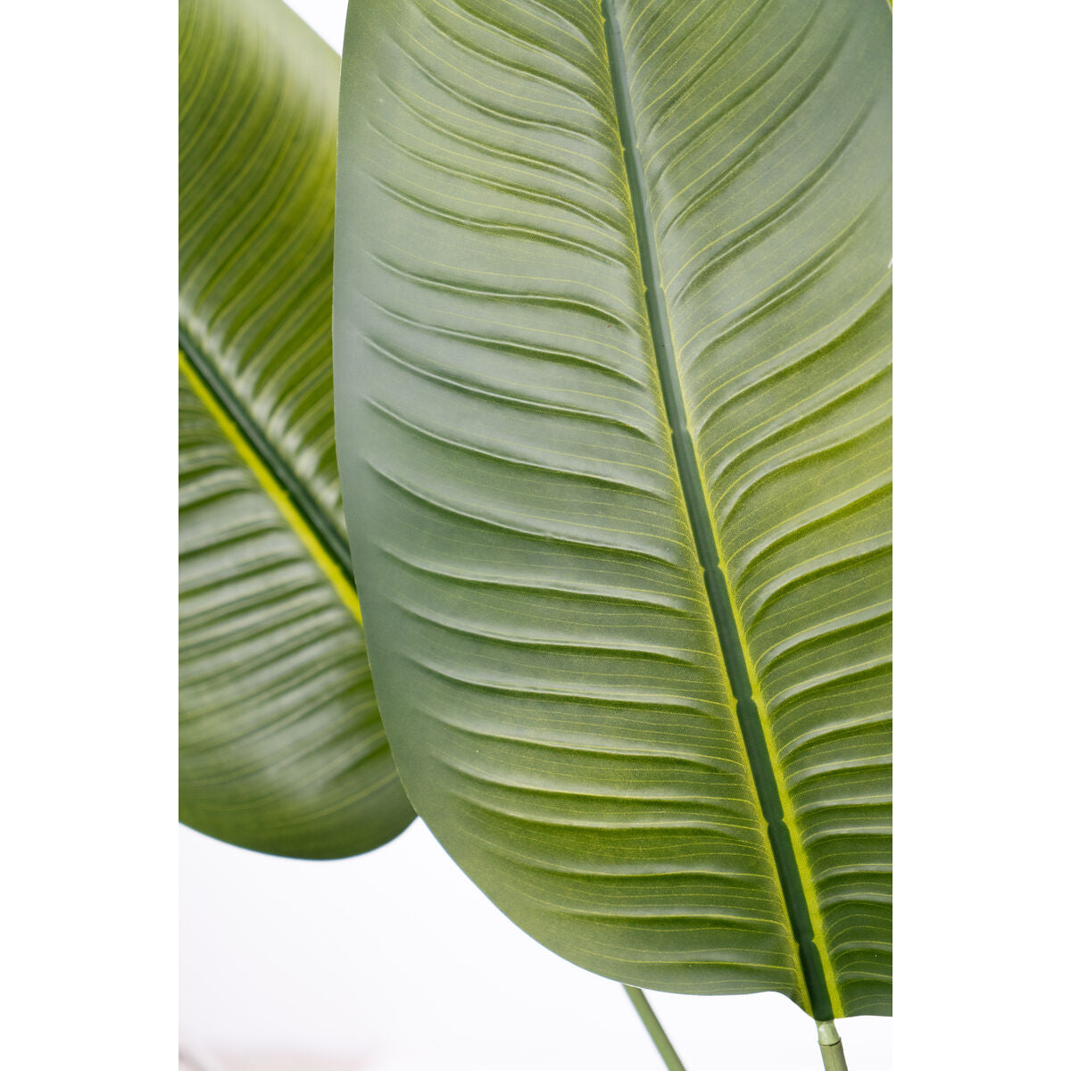 Romimex Strelitzia Decorative Plant Plastic 110 x 210 x 70 cm