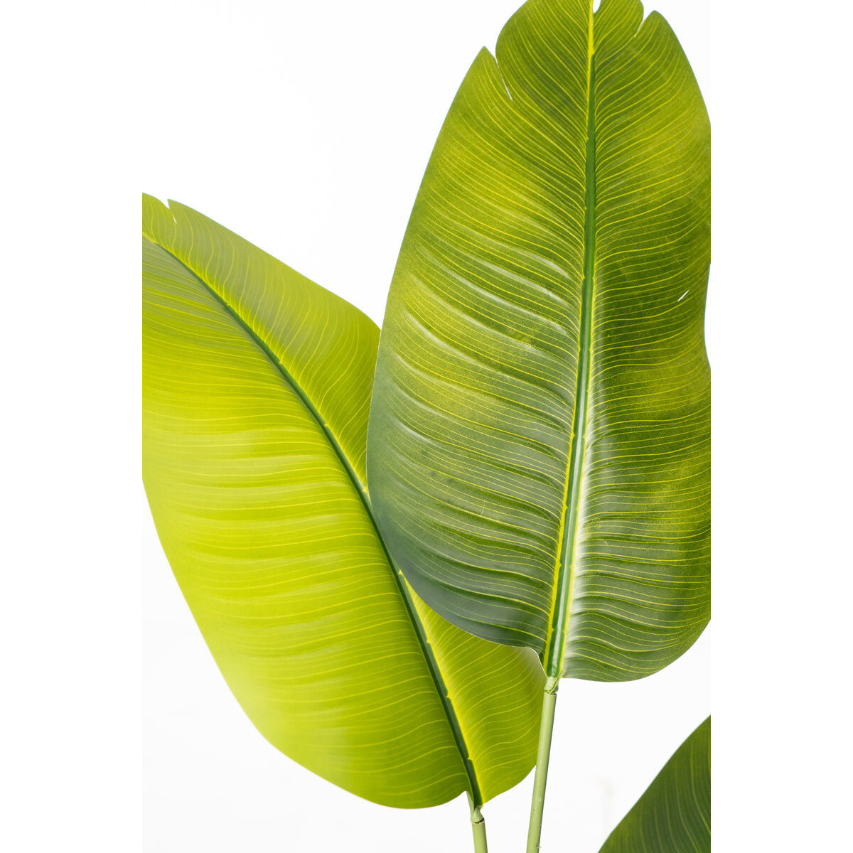 Planta Decorativa Romimex Strelitzia Plástico 70 x 140 x 70 cm