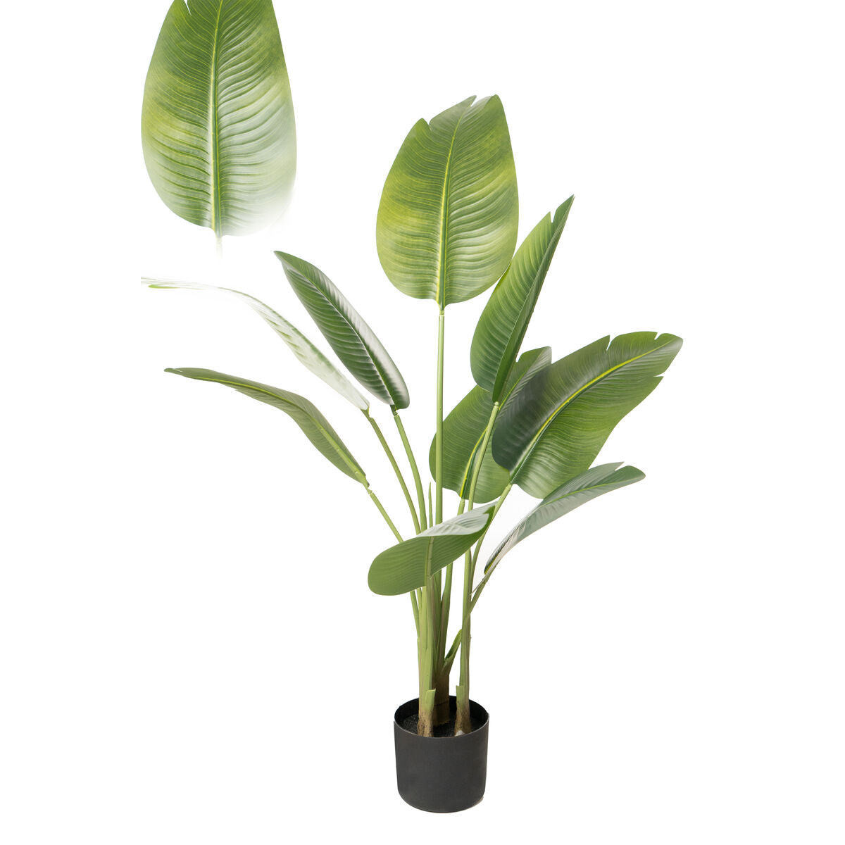 Romimex Strelitzia Decorative Plant Plastic 75 x 110 x 75 cm