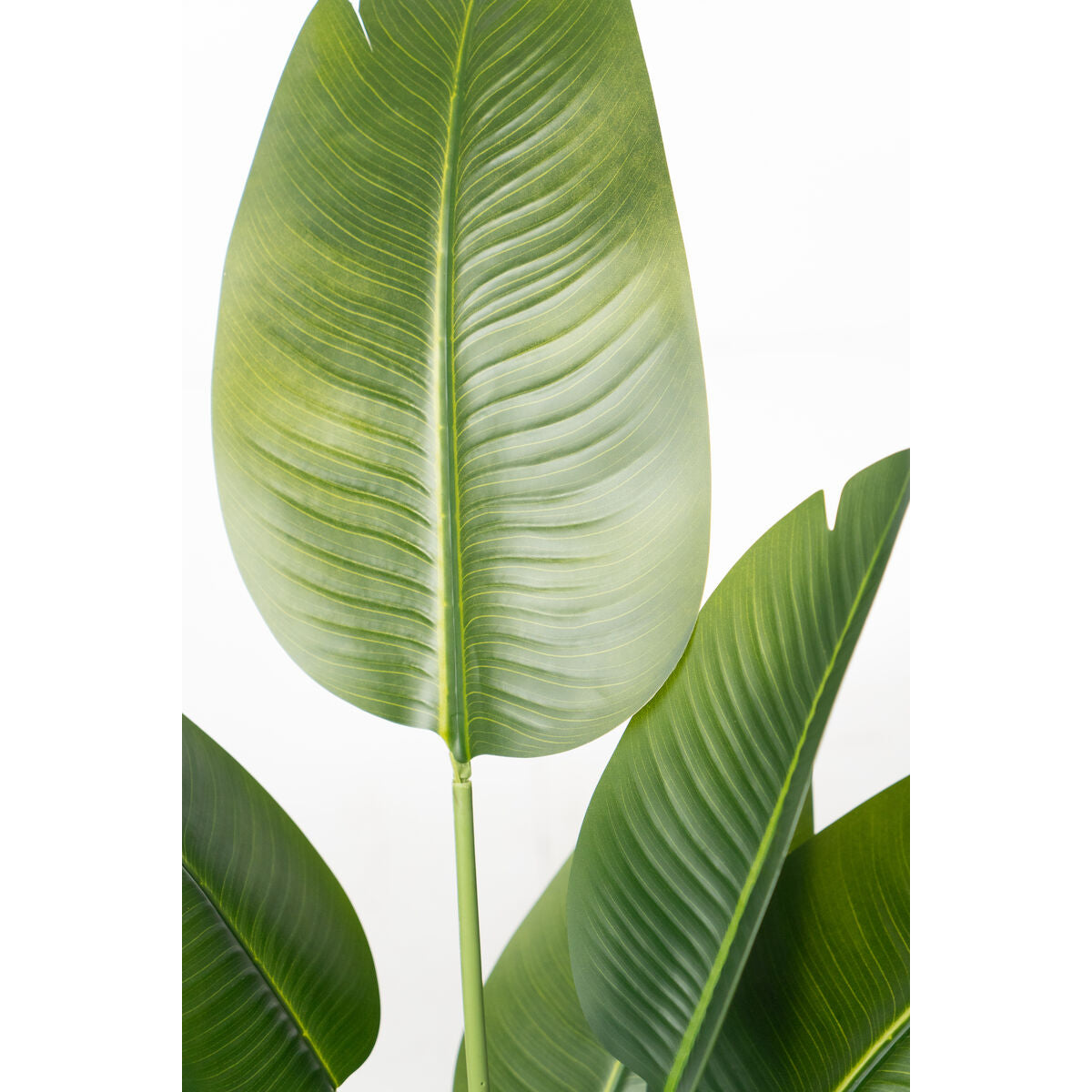 Romimex Strelitzia Decorative Plant Plastic 75 x 110 x 75 cm