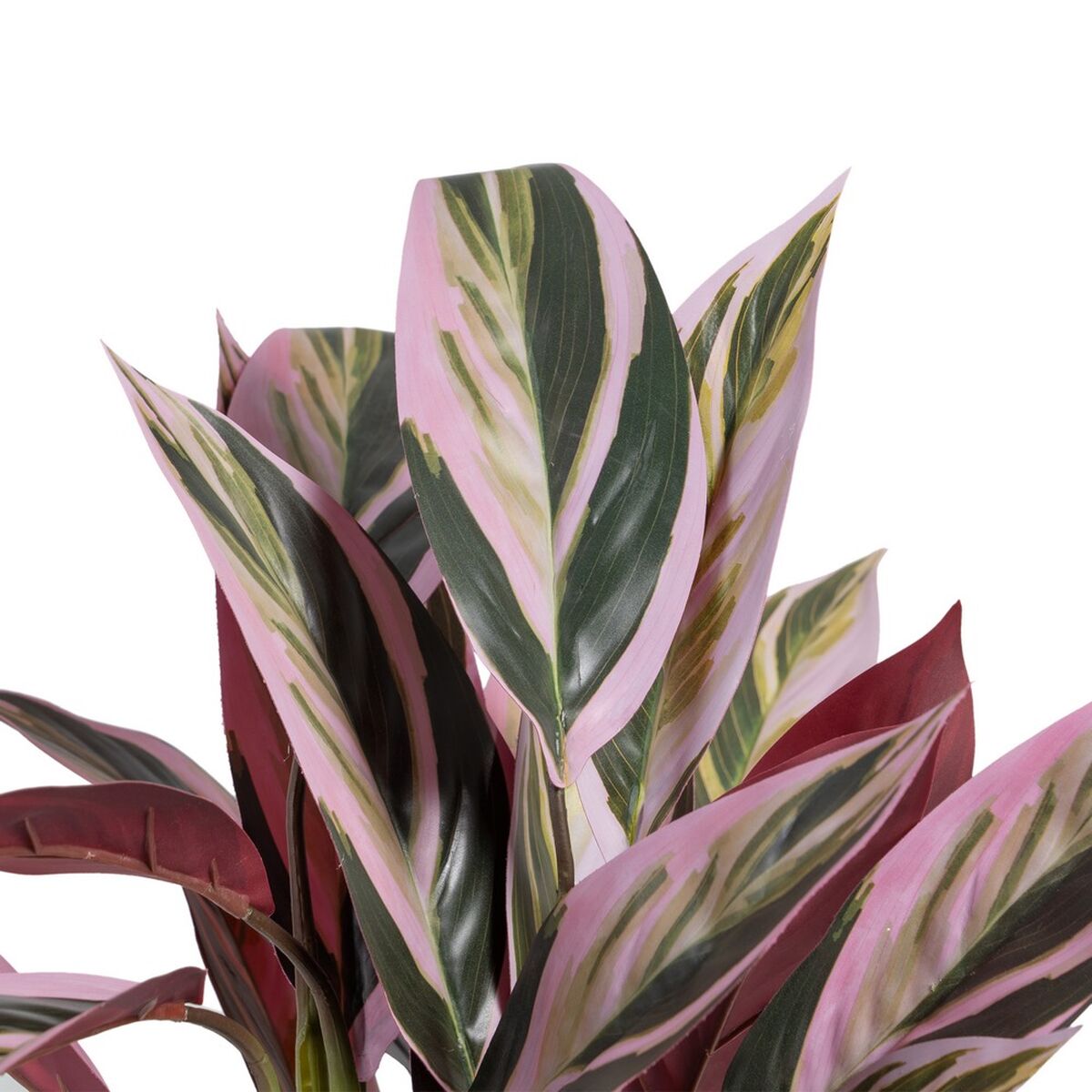 Planta Decorativa 44 x 39 x 48 cm Rosa Verde PVC