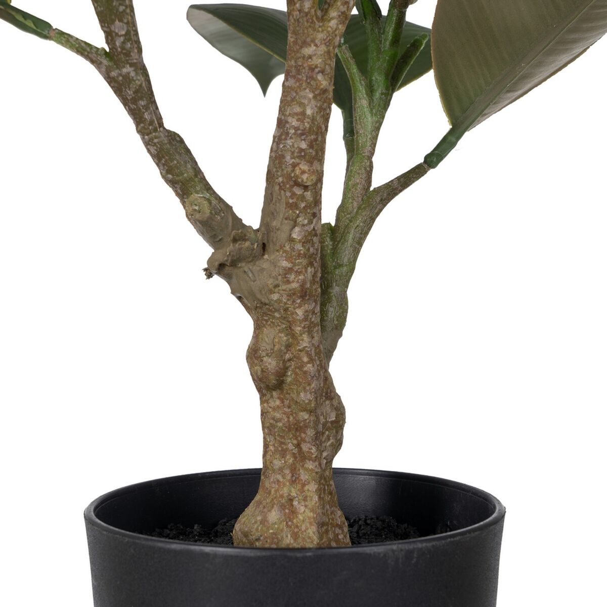 Planta Decorativa Polietileno Hierro PEVA Roble 76 cm