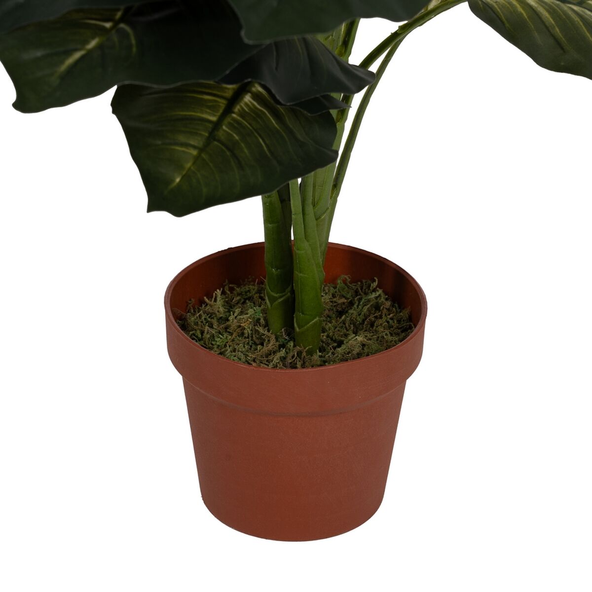 Planta Decorativa Polietileno Hierro Cemento 45 x 45 x 135 cm