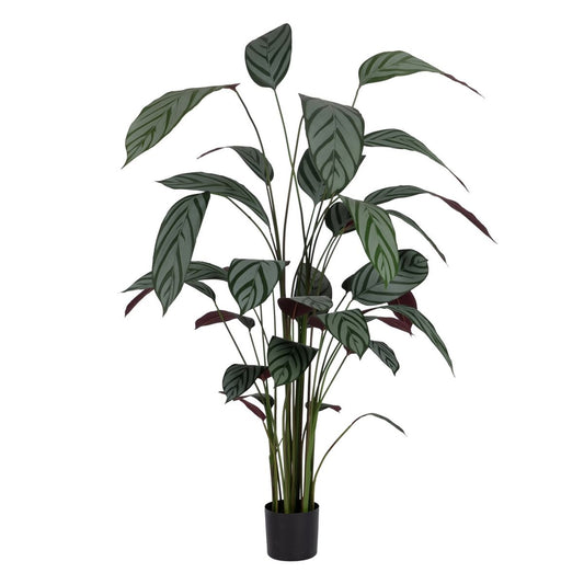 Planta Decorativa PVC Cemento Tejido 50 x 50 x 220 cm