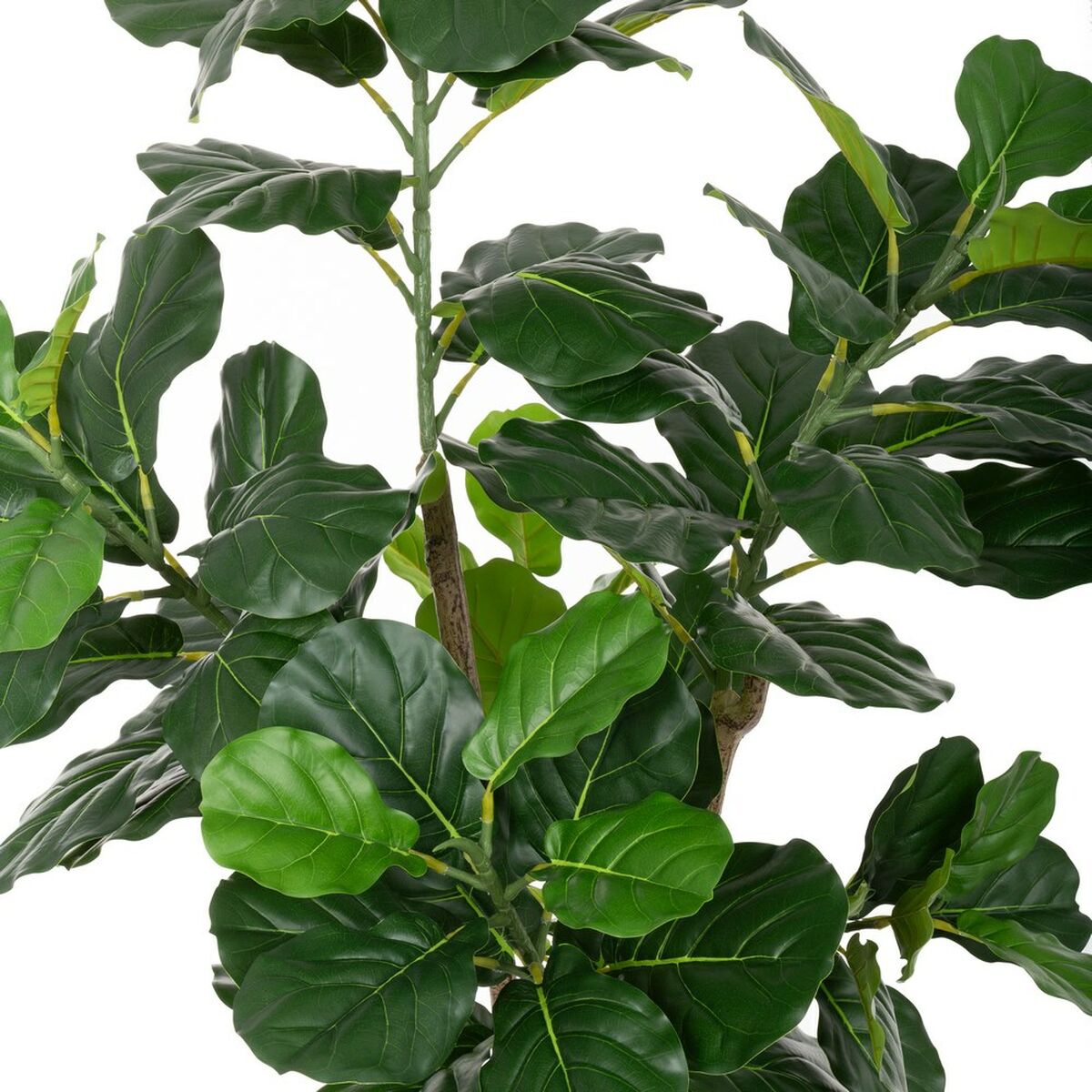 Planta Decorativa Poliuretano Cemento Ficus 175 cm