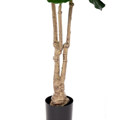 Planta Decorativa Poliuretano Cemento Ficus 175 cm