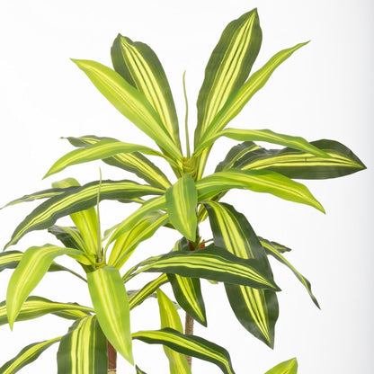 Planta Decorativa Poliuretano Cemento 180 cm