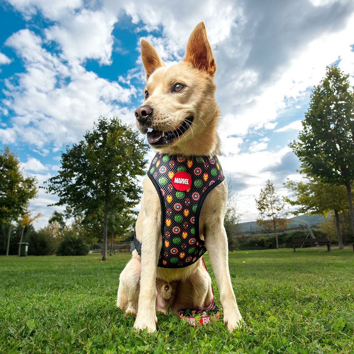 Arnés para Perro Marvel Rojo Reversible S/M