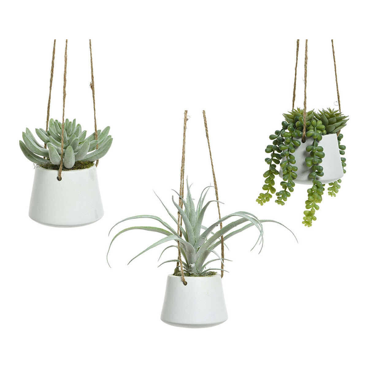 Planta Decorativa 800073 Suculenta 20 cm Para colgar Artificial