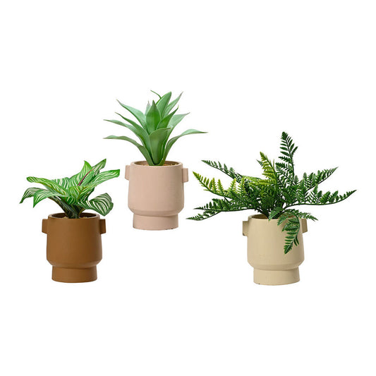 Planta Decorativa EDM 808559 Maceta 25 cm