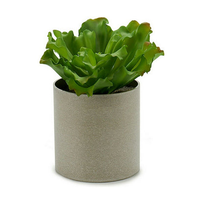 Planta Decorativa 20 x 25 x 20 cm (6 Unidades)