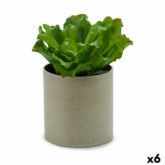 Planta Decorativa 20 x 25 x 20 cm (6 Unidades)