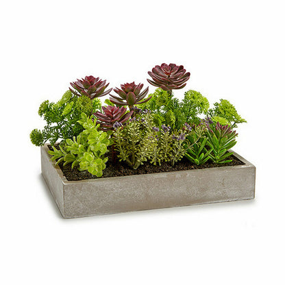 Planta Decorativa Suculenta Plástico Cemento 16,5 x 20 x 28,5 cm (6 Unidades)