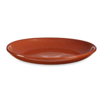 Flat Plate Baked Clay 23 x 2 x 23 cm Meat (10 Units)