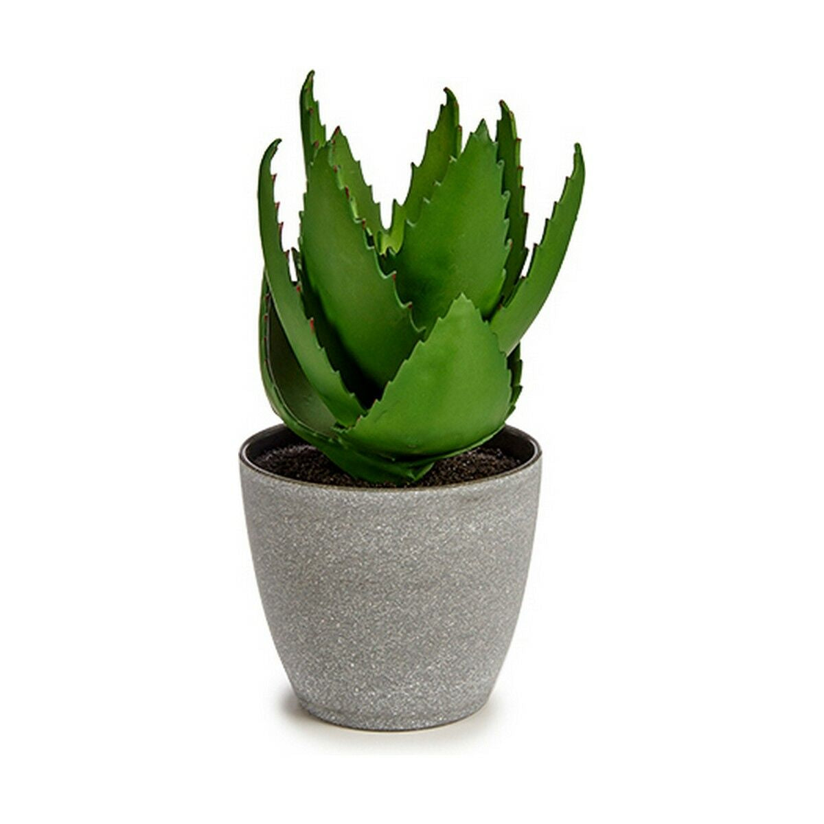 Planta Decorativa Aloe Vera 15 x 23,5 x 15 cm Gris Verde Plástico (6 Unidades)