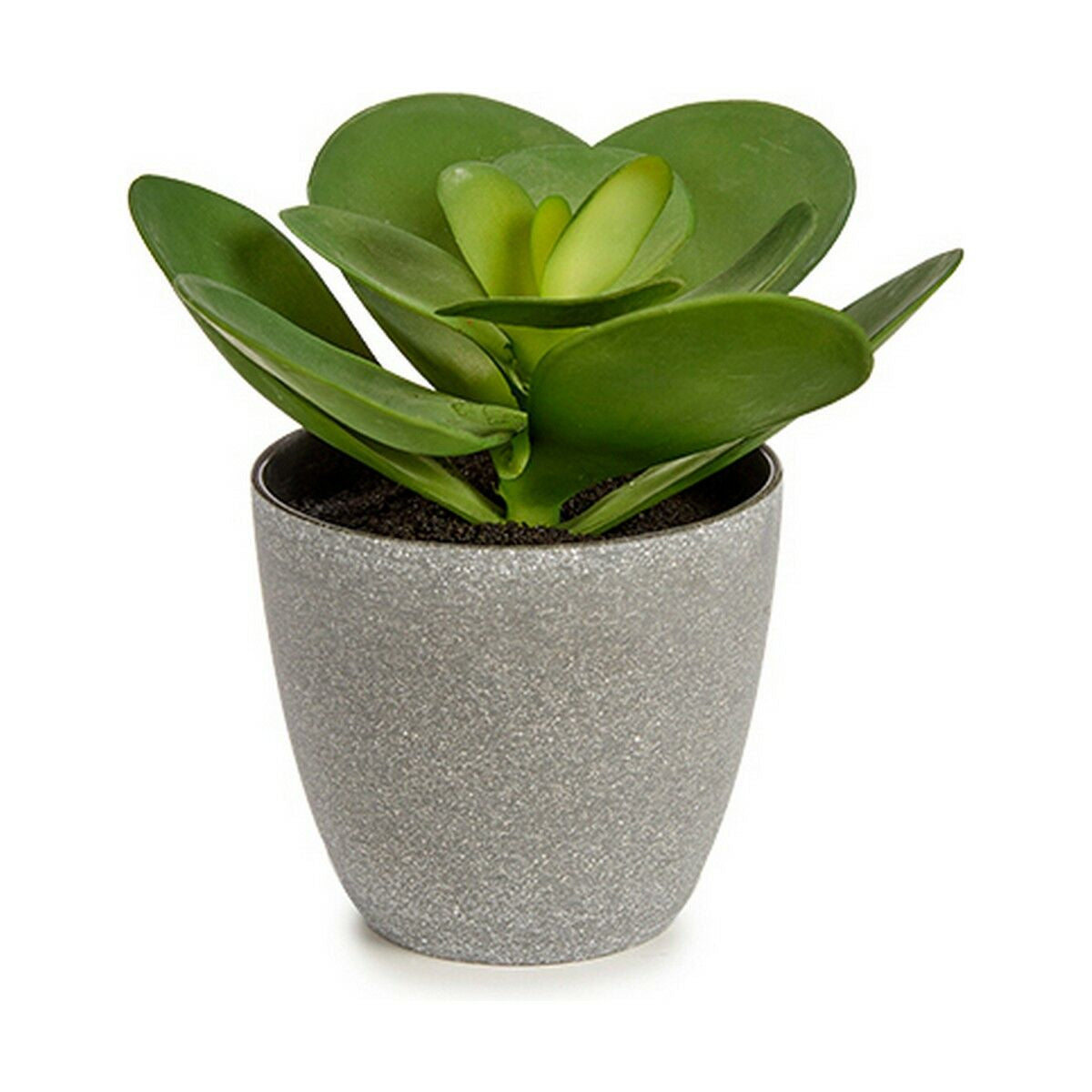 Planta Decorativa 18 x 18,5 x 18 cm Gris Verde Plástico (6 Unidades)