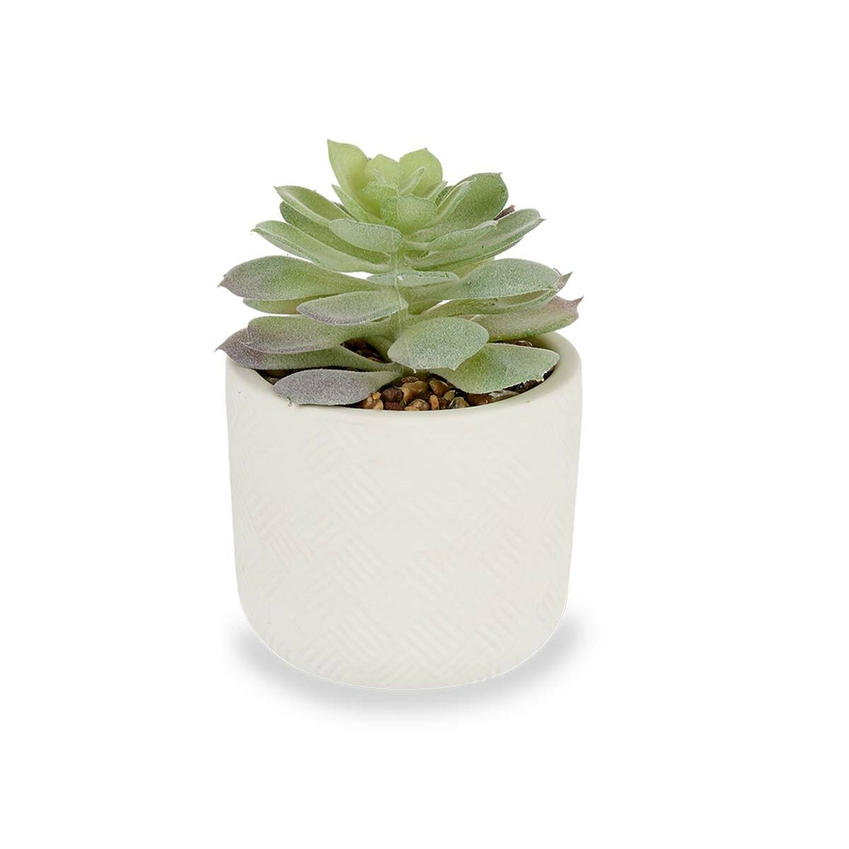 Planta Decorativa Suculenta Plástico 14 x 13,5 x 14 cm (12 Unidades)