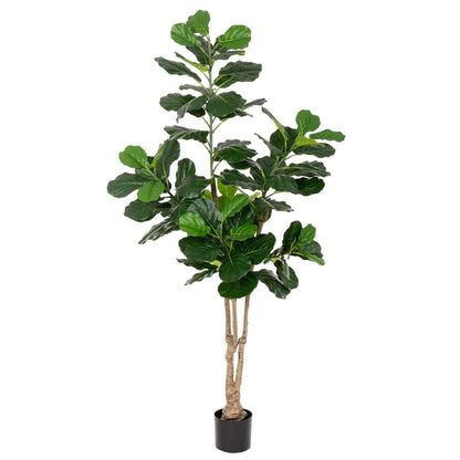 Planta Decorativa Poliuretano Cemento Ficus 175 cm