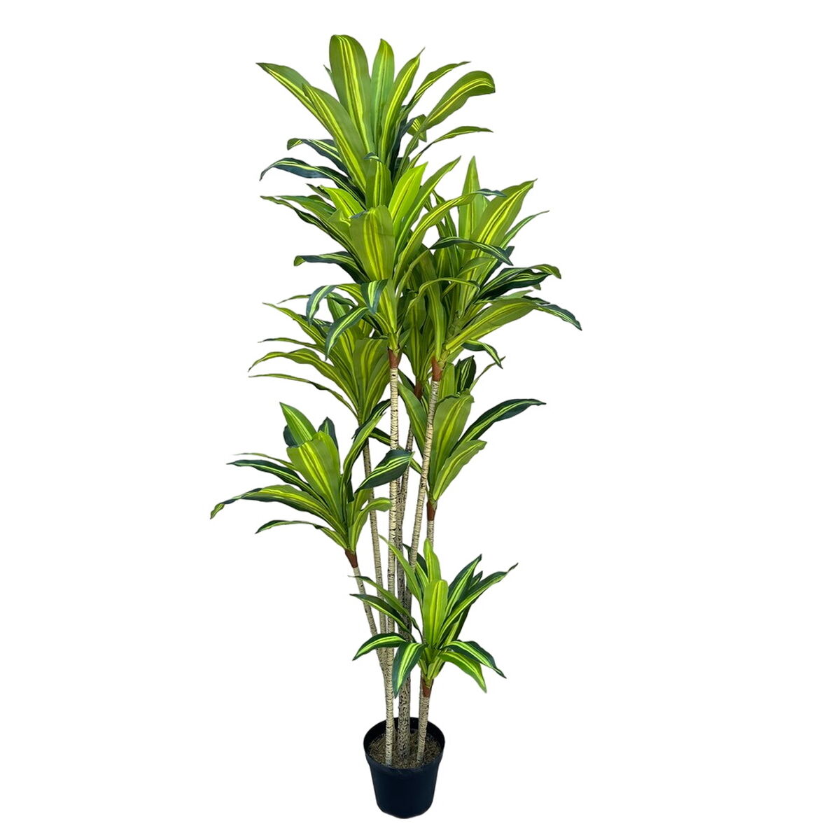 Planta Decorativa Poliuretano Cemento 180 cm